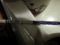 6DPO Several Different Test DD-New WTF Is this REAL 014 (640x480).jpg