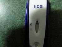 6DPO Several Different Test DD-New WTF Is this REAL 032 (640x480).jpg