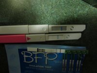 6DPO Several Different Test DD-New WTF Is this REAL 033 (640x480).jpg