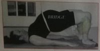 bridge pose.jpg