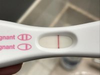 FRER.jpg