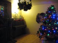 IMG_2721.jpg