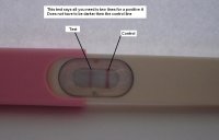 OvulationTest4Dec08.JPG