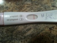 FRER1_11dpo.jpg