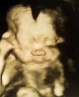 photomagic(1)(137).jpg