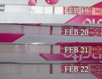 Feb22_Preview.jpg