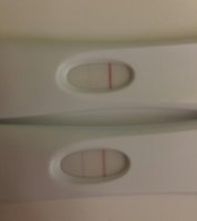 20170304_175252.jpg