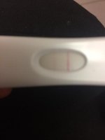 OPK CD 11 March.jpg