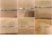 opk march 2017.jpg