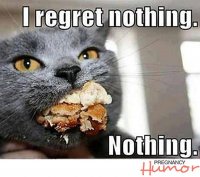 cat-eating-pregnancy-meme.jpg