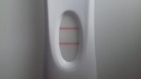 20170331_094423.jpg