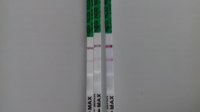 20170403_131958.jpg