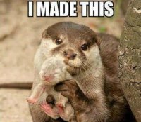 pregnancy-meme_16.jpg