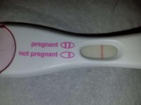 5dp5dt_frer.jpg