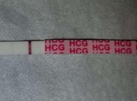 5dp5dt_wondofo.jpg