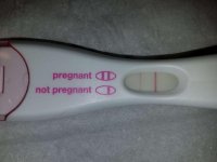7dpdt_FRER.jpg