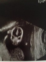 alien.jpg
