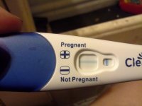 cb 14dpo.jpg