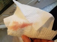 20170428_131727.jpg