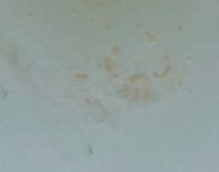 20170430_222337.jpg
