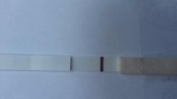 20170504_161847.jpg