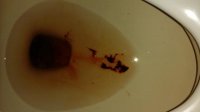 20170514_133623.jpg