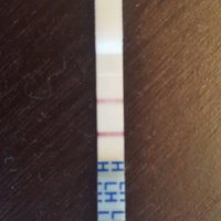 20170521_162334_crop_597x597.jpg