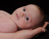 IMG_3981.jpg