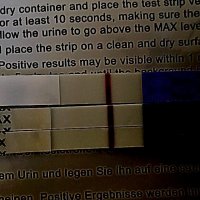 IMG_6513.jpg