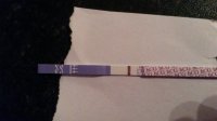 20170607_214739.jpg