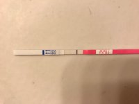 FullSizeRender (10).jpg