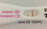 June 23 - 12 DPO.jpg