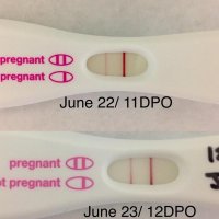 11 - 12 DPO progress.jpg