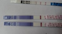 20170628_083628.jpg