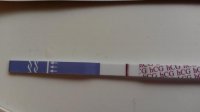 20170629_082048.jpg