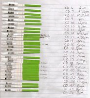 Scan111111111.jpg