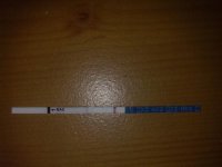 24032010054.jpg