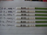Picture 003.jpg