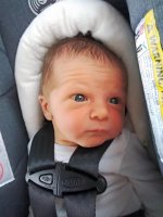 IMG_20170724_122244_edit_edit.jpg