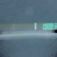 2017-08-02 07_20_39.jpg
