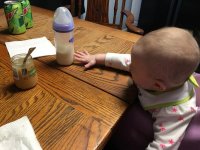 IMG_4703.jpg