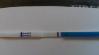 20170828_175703.jpg