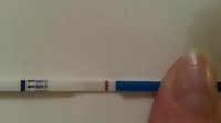 20170904_194502.jpg
