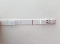 20170907_100702_opt.jpg