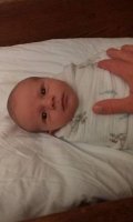 IMG_8910.jpg