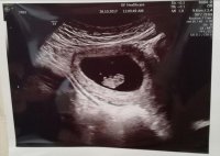 IMG-20171026-WA0003.jpg