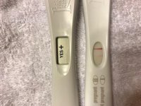 preg test 7.jpg