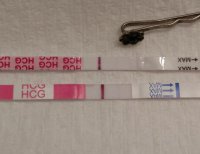 IMG_20171106_053924.jpg