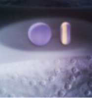 A511FEFF-8479-4EB8-B367-65B49AAF65D7.jpeg