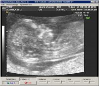 12 weeks 008.jpg